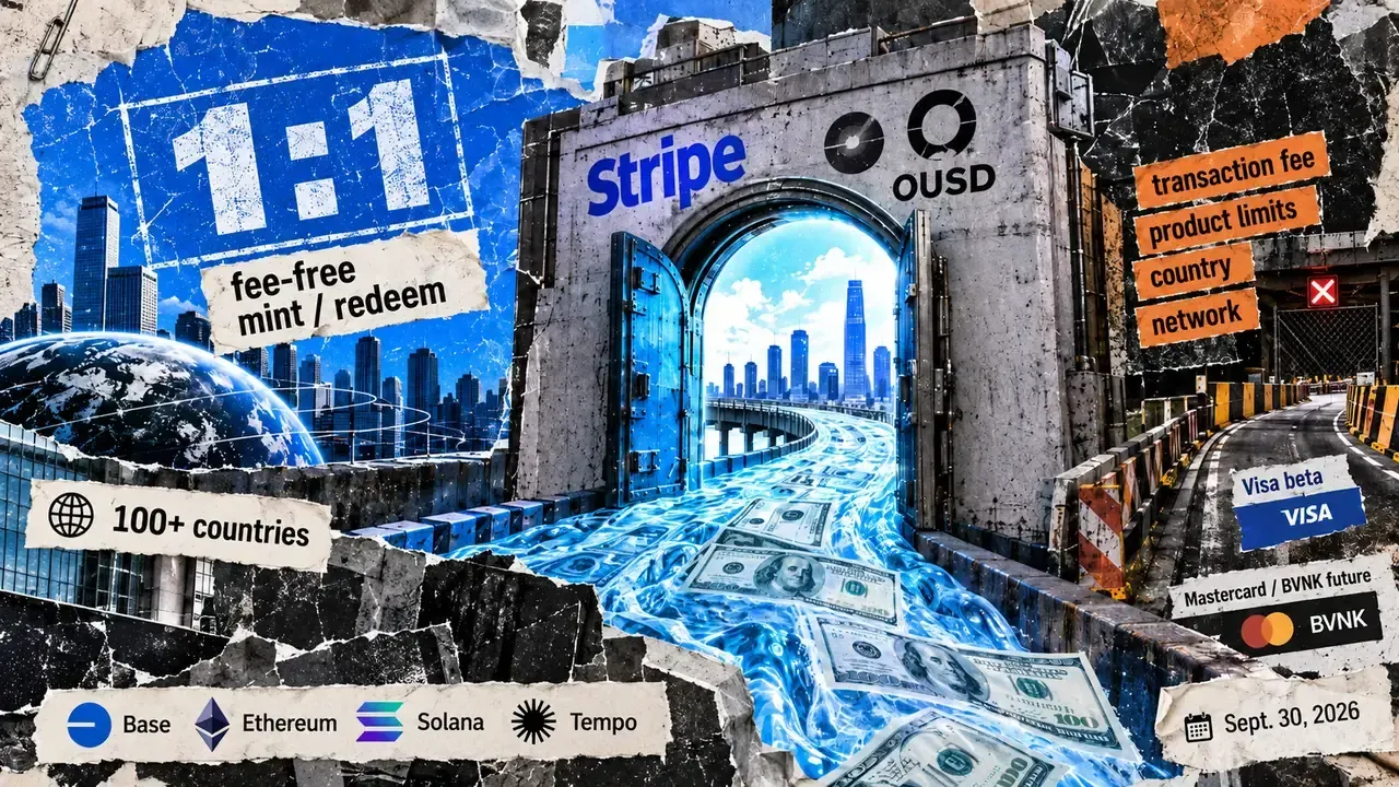 Open USD Launches With $468 Million Backing and Stripe Distribution Deal